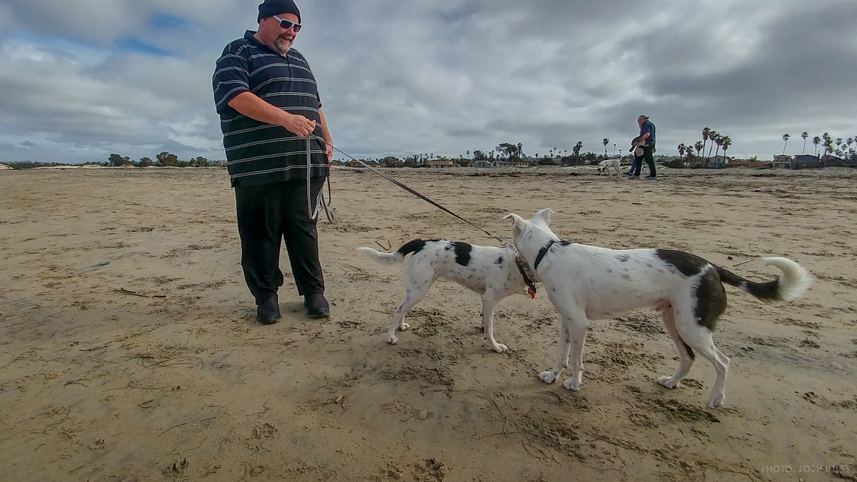 Doppelganger at Dog Beach