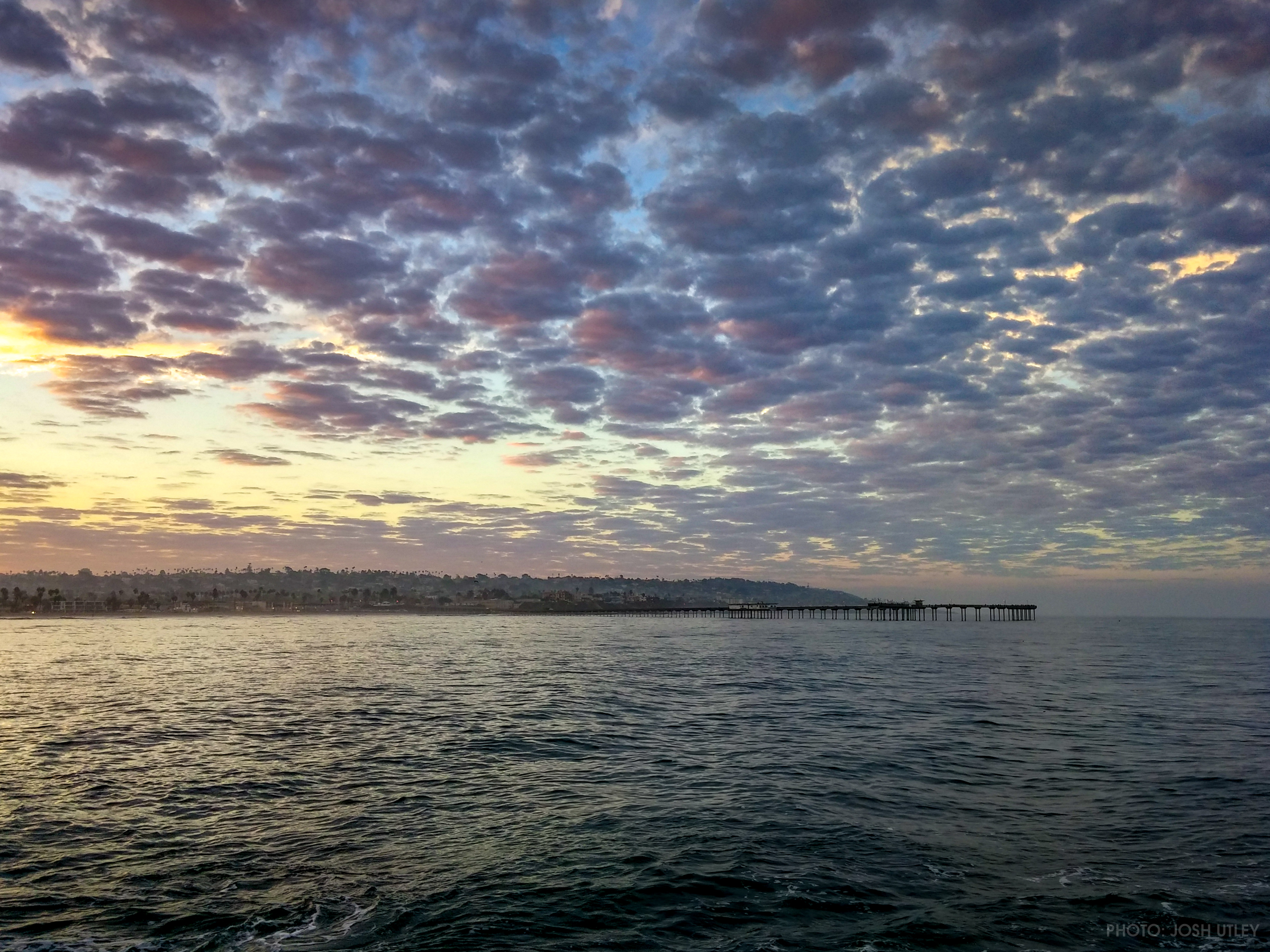 Dog Beach OB Pier