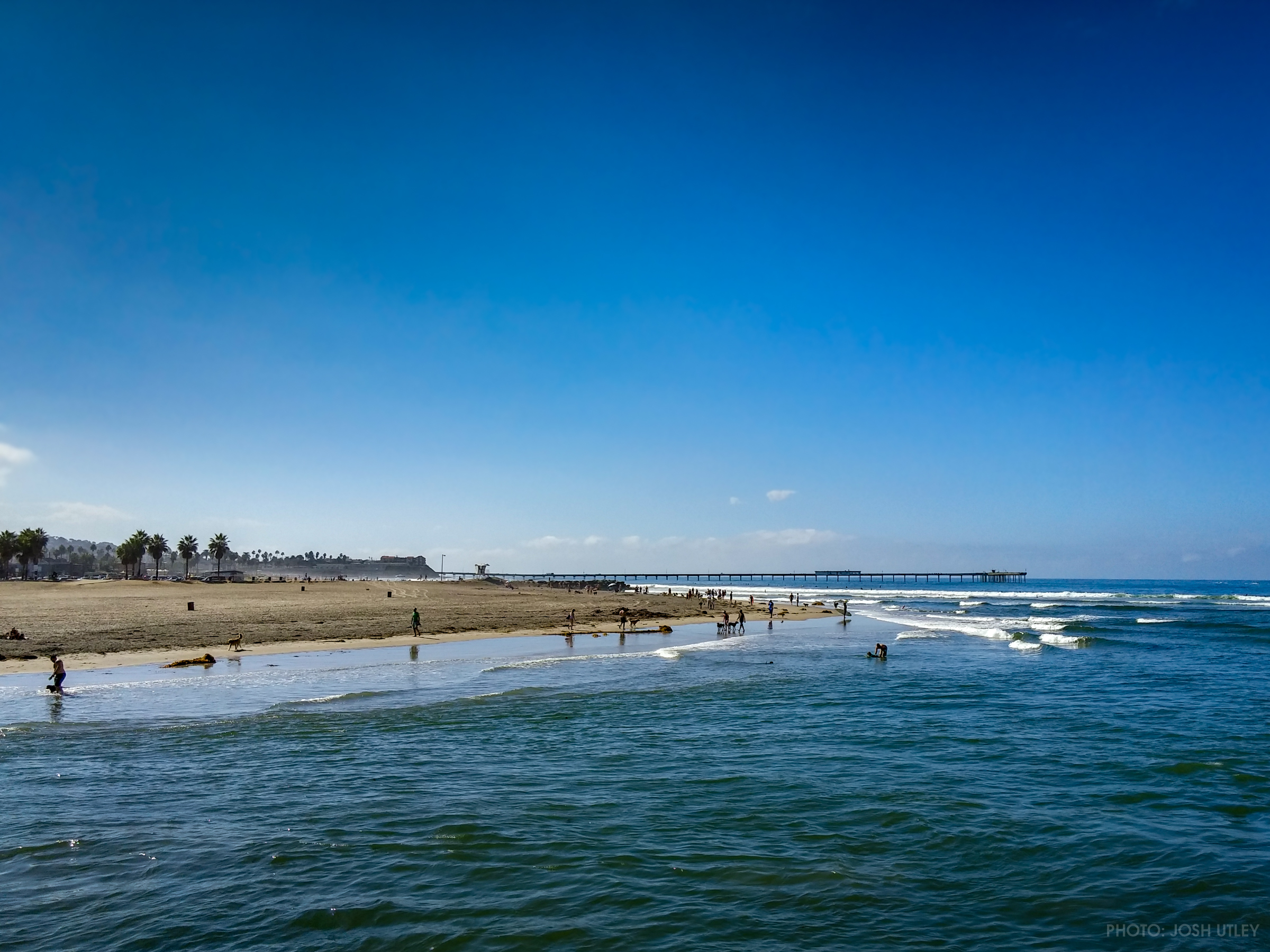 Dog Beach OB