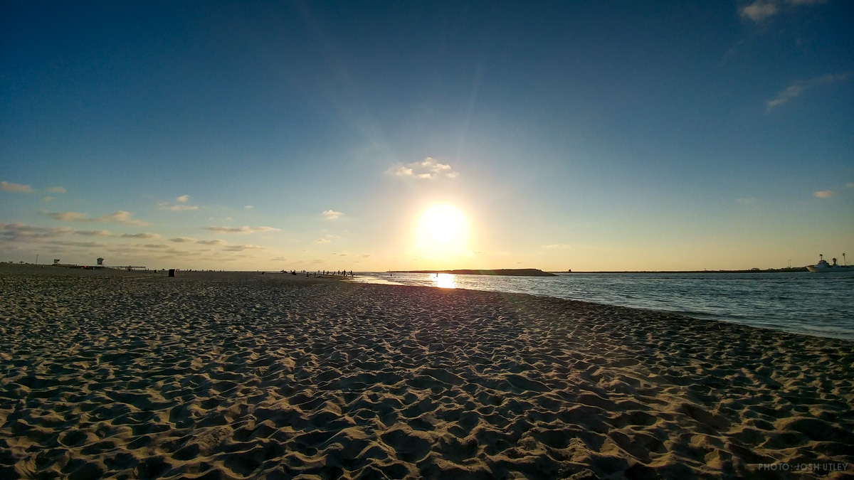 Relax at Dog Beach