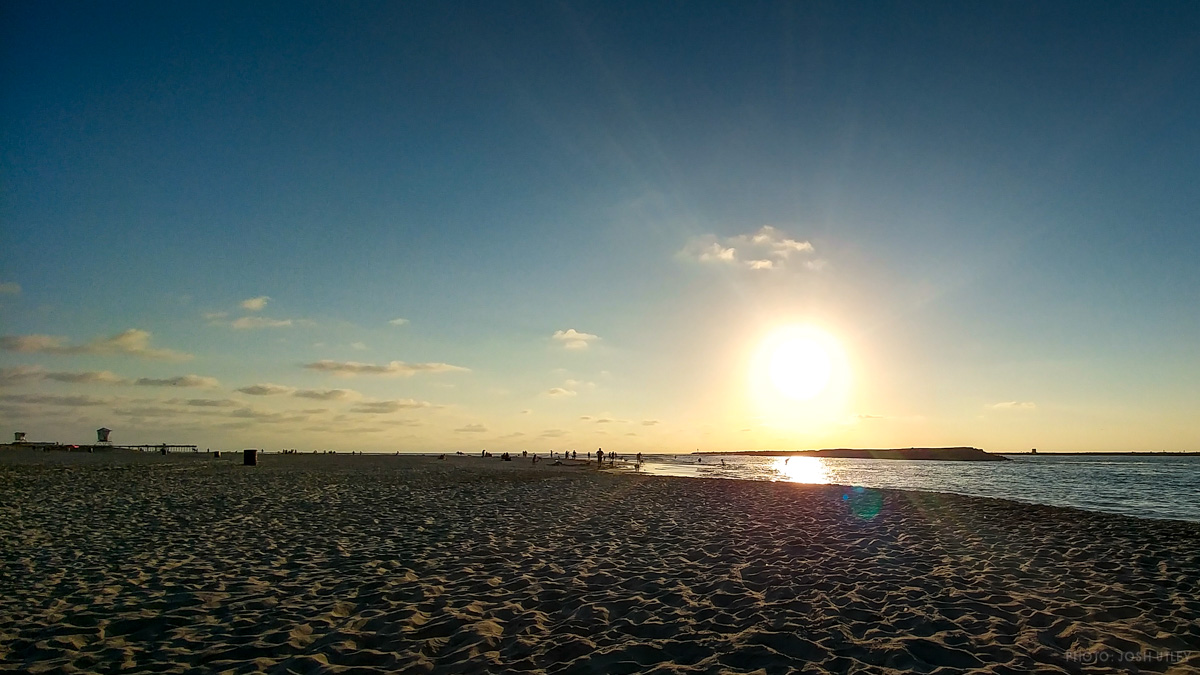 Relax at Dog Beach