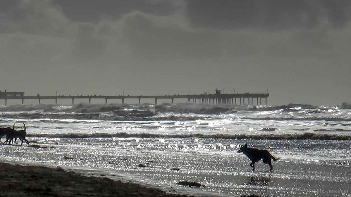 Stormy Weather at Dog Beach