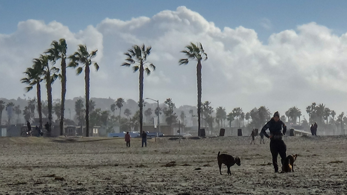 Stormy Weather at Dog Beach