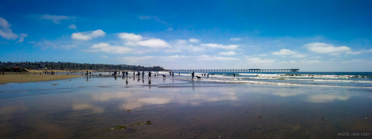 Sunday Funday at Dog Beach