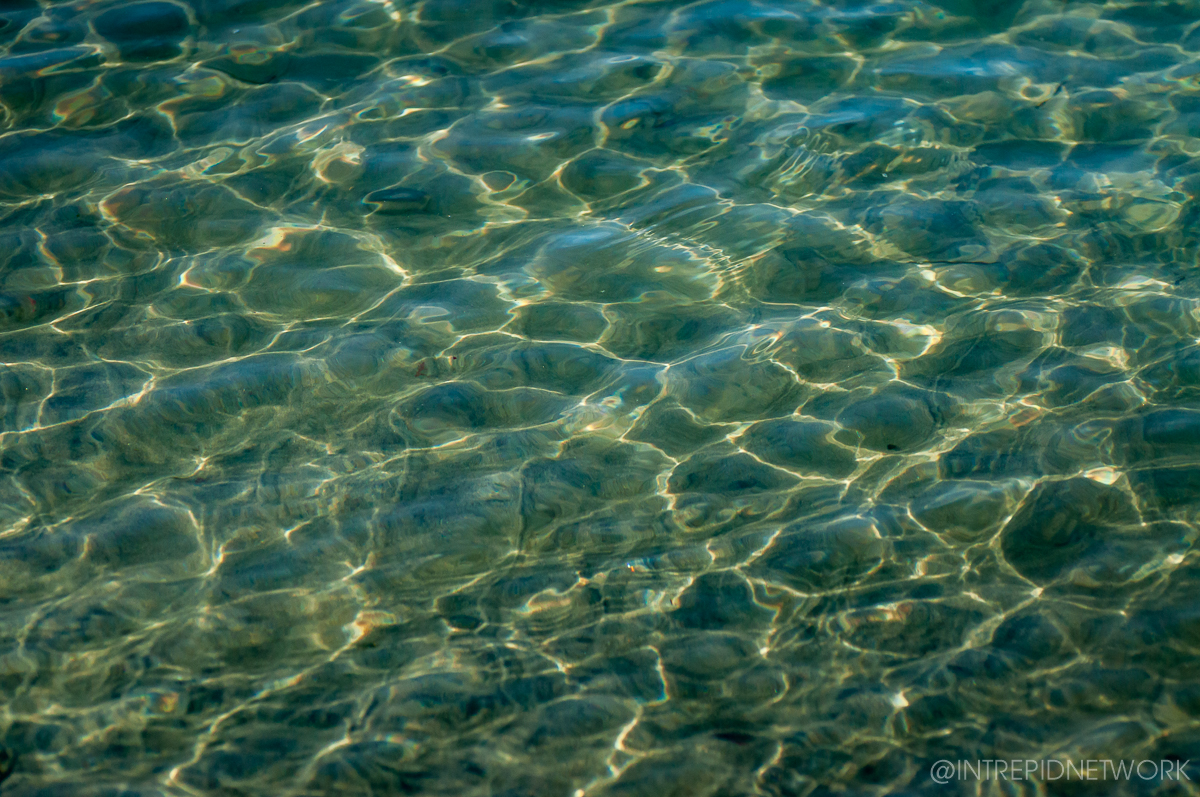 Clear Water at Dog Beach San Diego