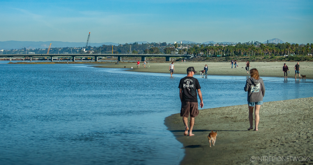 Pet's of Dog Beach San Diego