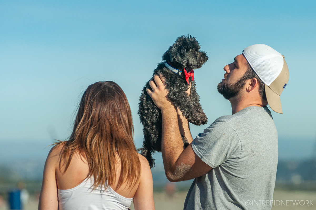 Pet's of Dog Beach San Diego