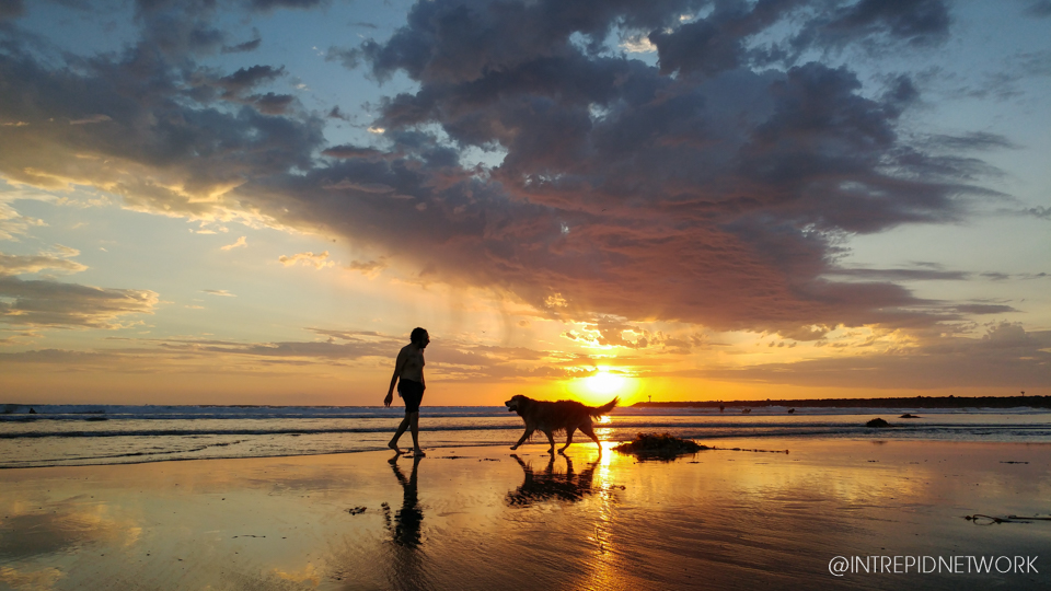 Dog Beach Sunset