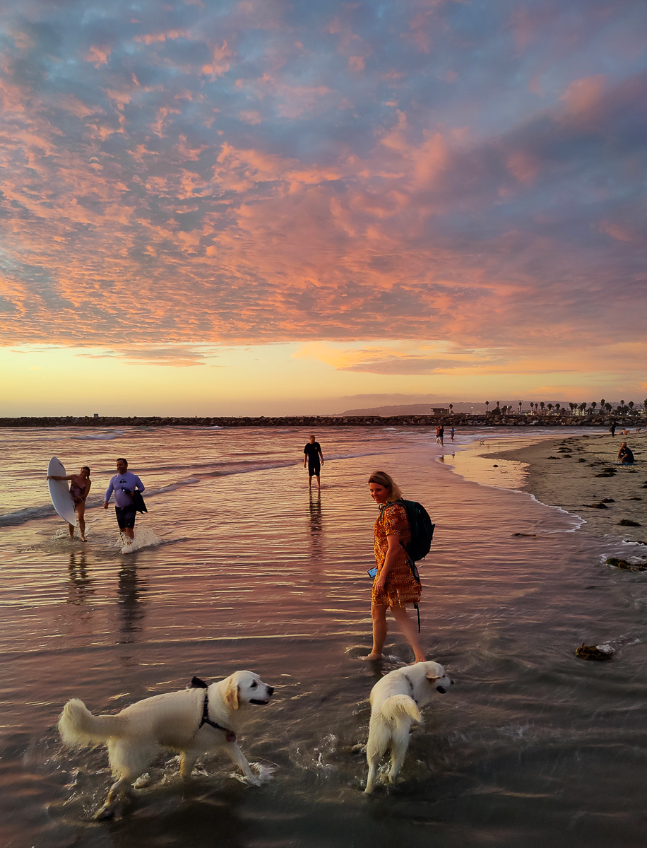 Dog Beach Summer Sunsets