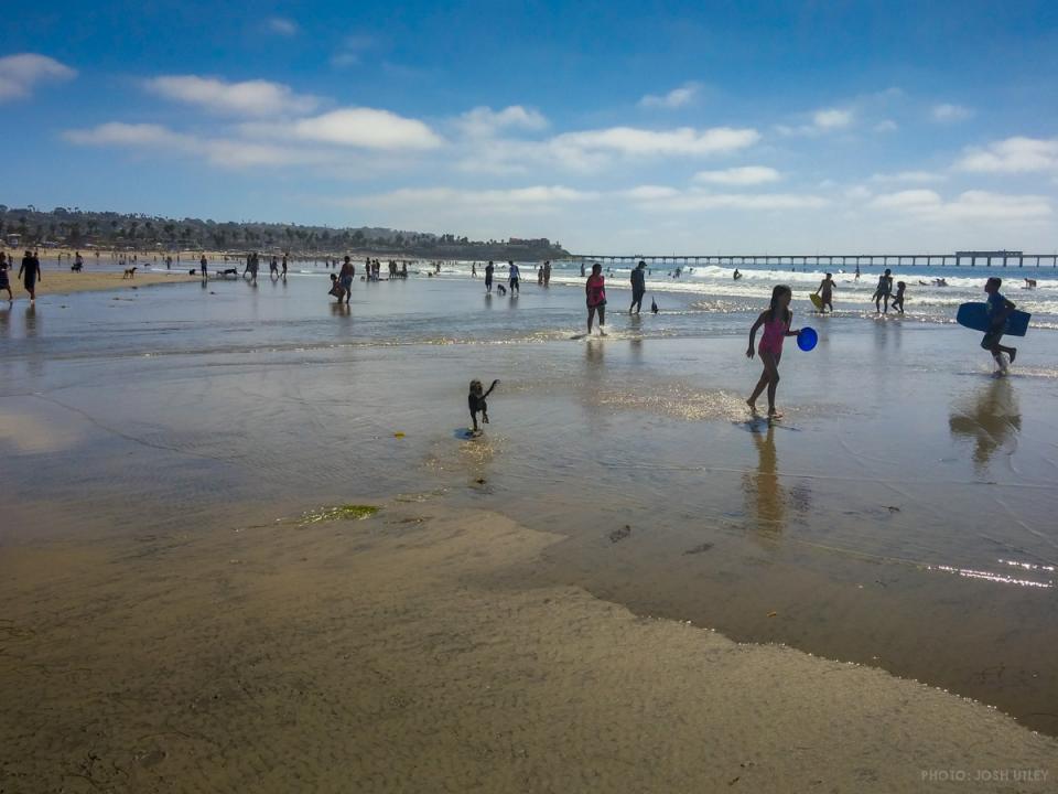 Dog Beach Low Tide